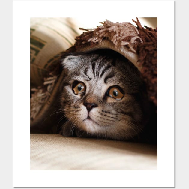 Sad cat blanket best sale